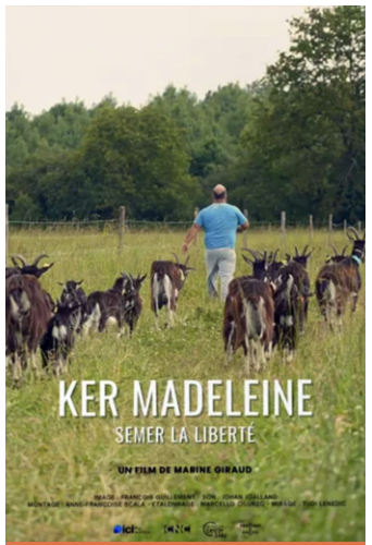 Festival du film social